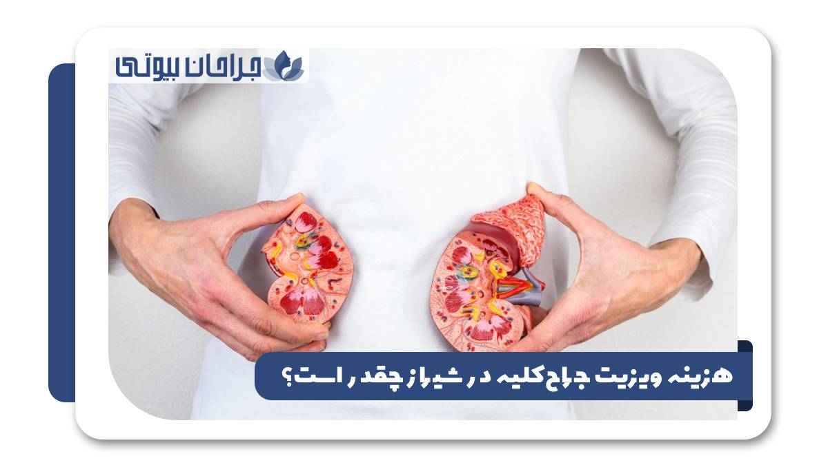 هزینه ویزیت جراح کلیه در شیراز چقدر است؟