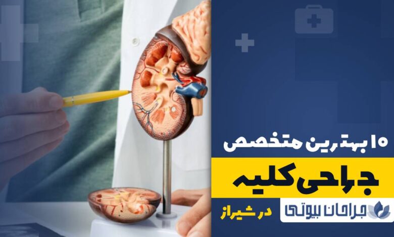 10 بهترین دکتر متخصص جراحی کلیه و مجاری ادراری در شیراز