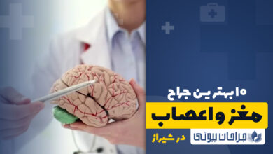 10 بهترین متخصص جراحی مغز و اعصاب در شیراز