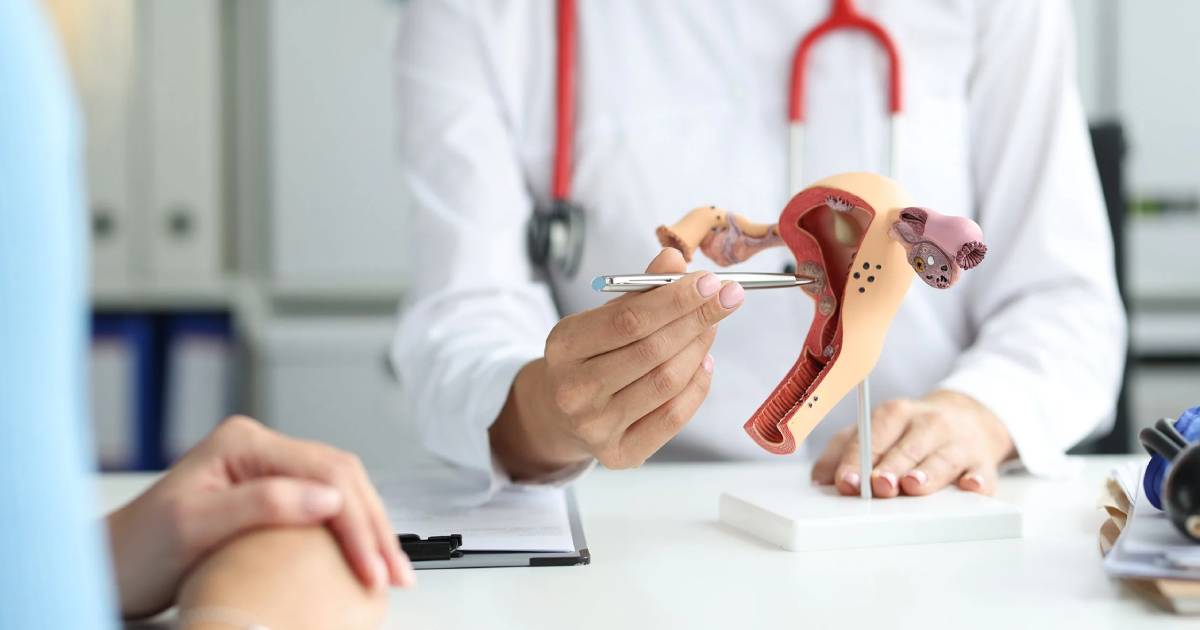 10 بهترین دکتر جراح زنان و زایمان در شیراز