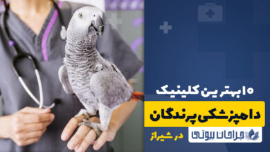 بهترین دامپزشکی پرندگان در شیراز