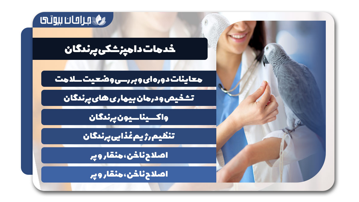 بهترین دامپزشکی پرندگان در شیراز
