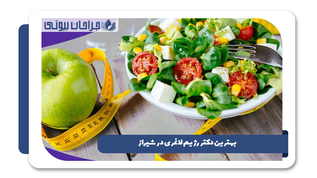بهترین دکتر رژیم لاغری در شیراز